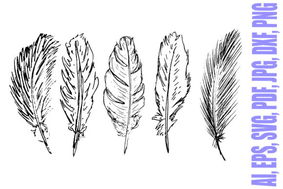 Download Five Hand Drawn Feathers Illustrations - Hand drawn feathers Collection